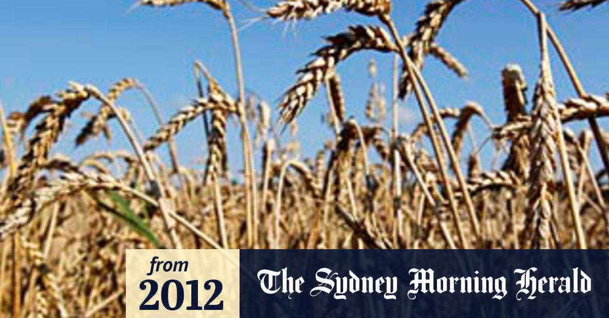 Glencore approaches Canadian grain giant